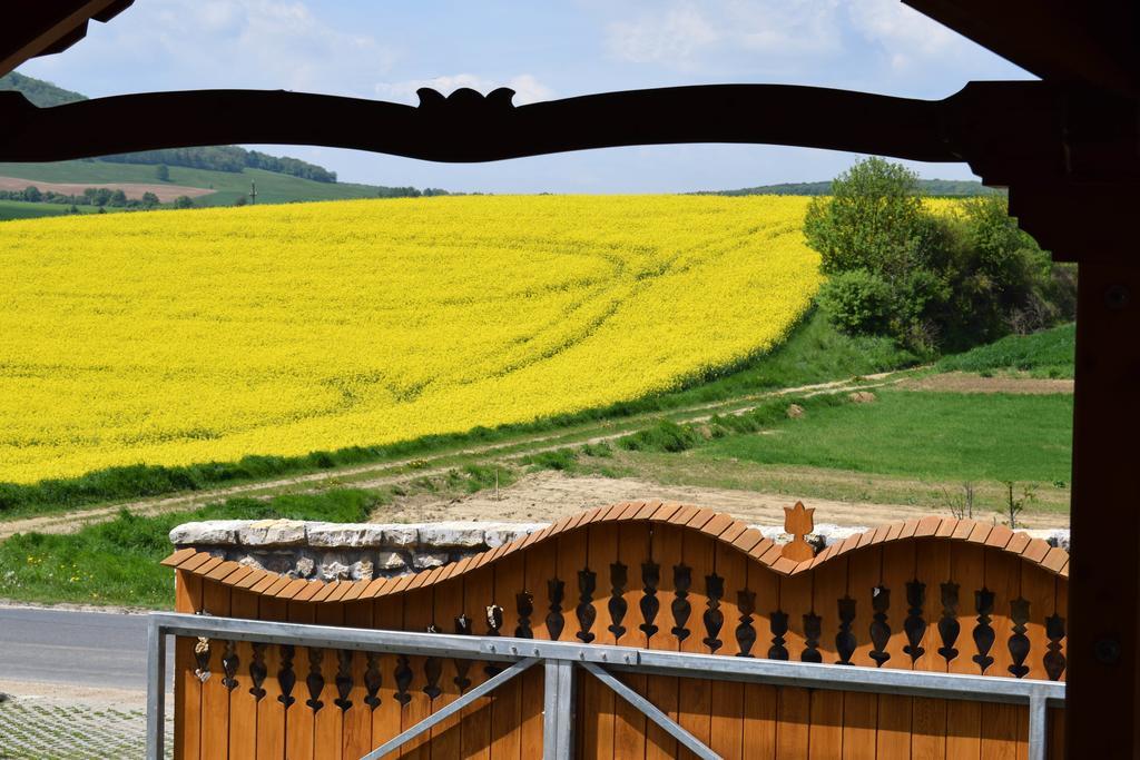 ホテル Tiszafa Vendeghaz Szentgál エクステリア 写真